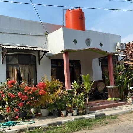 Owl Hostel Karimunjawa Exteriér fotografie