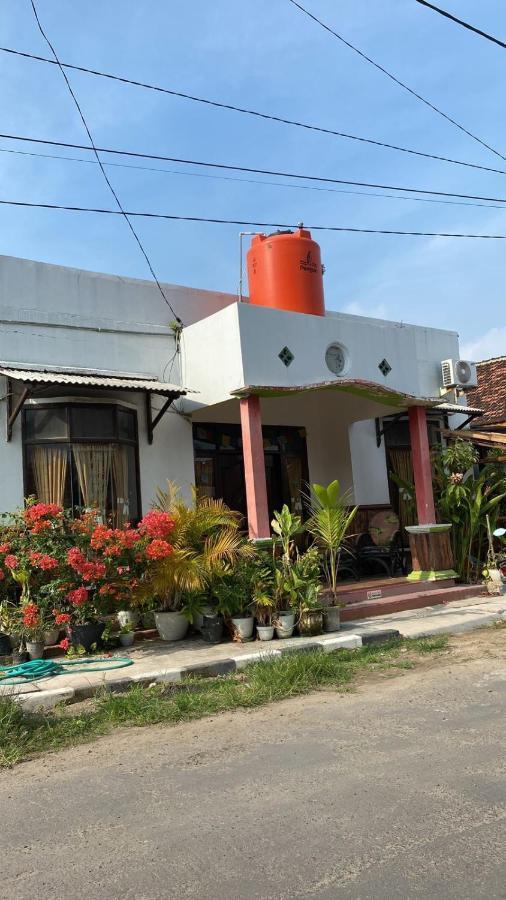 Owl Hostel Karimunjawa Exteriér fotografie